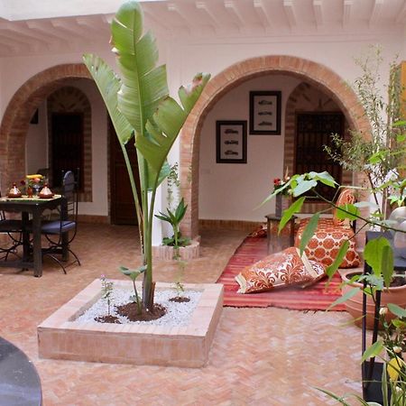 La Maison Berber Shams Marrakesh Extérieur photo